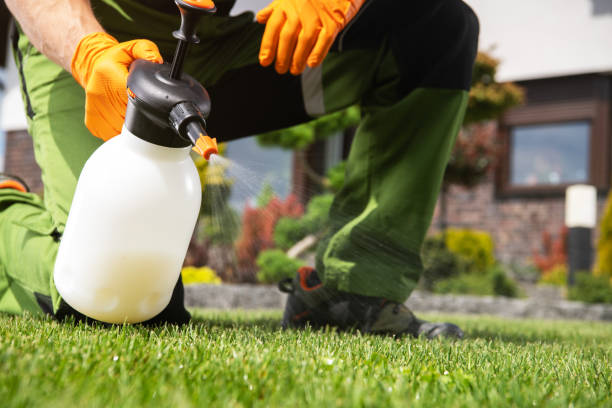Reliable Westwood Lakes, FL Pest Control Solutions