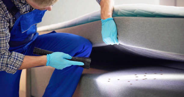 Best Residential Pest Control  in Westwood Lakes, FL