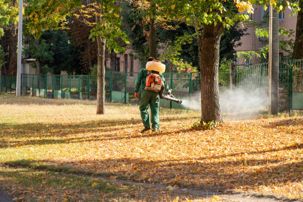 Best Best Pest Control Near Me  in Westwood Lakes, FL
