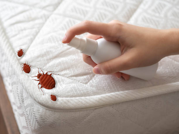 Pest Prevention Services in Westwood Lakes, FL