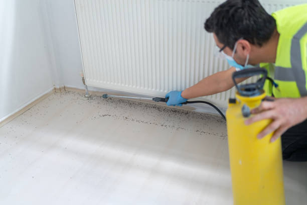 Best Pest Prevention Services  in Westwood Lakes, FL