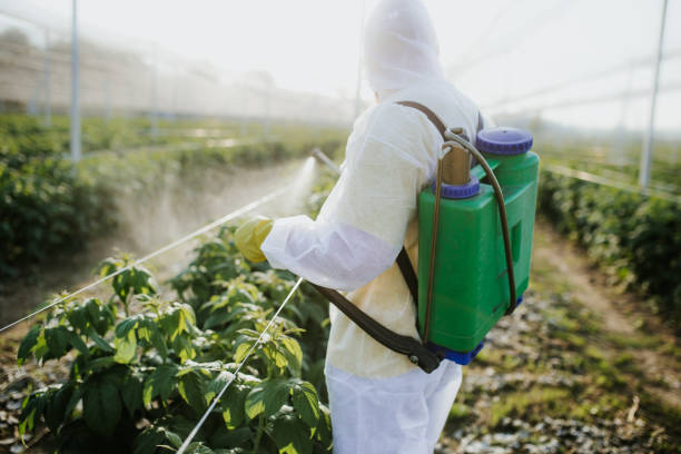 Best Commercial Pest Control Services  in Westwood Lakes, FL